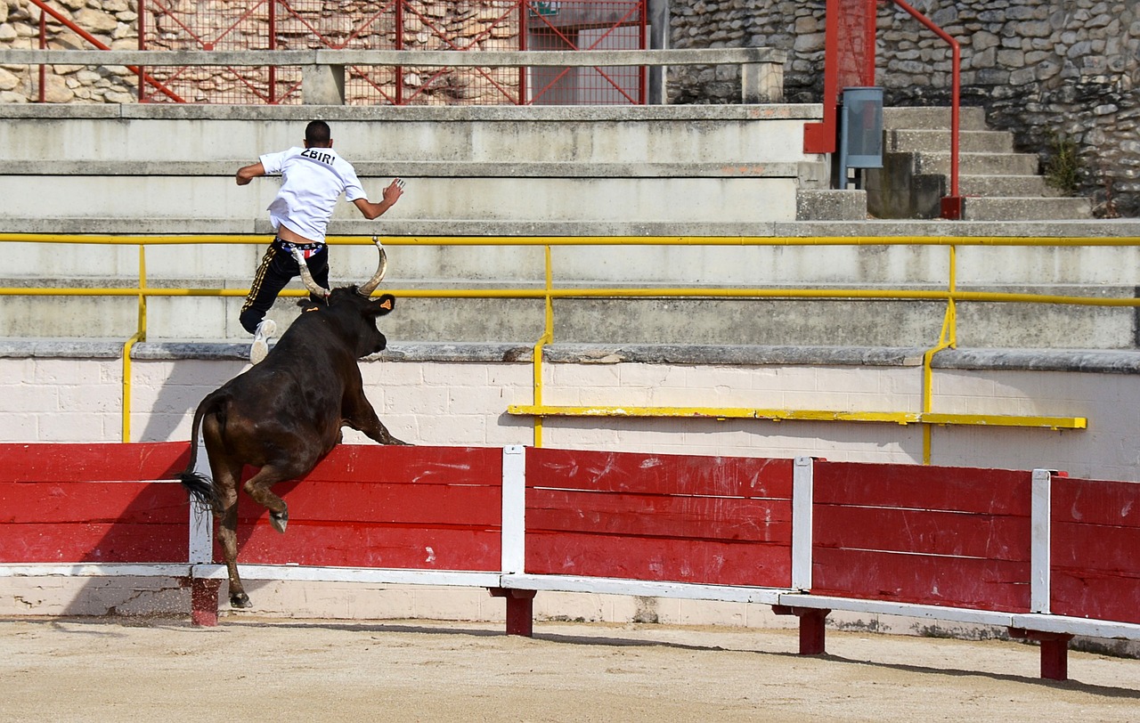 小將