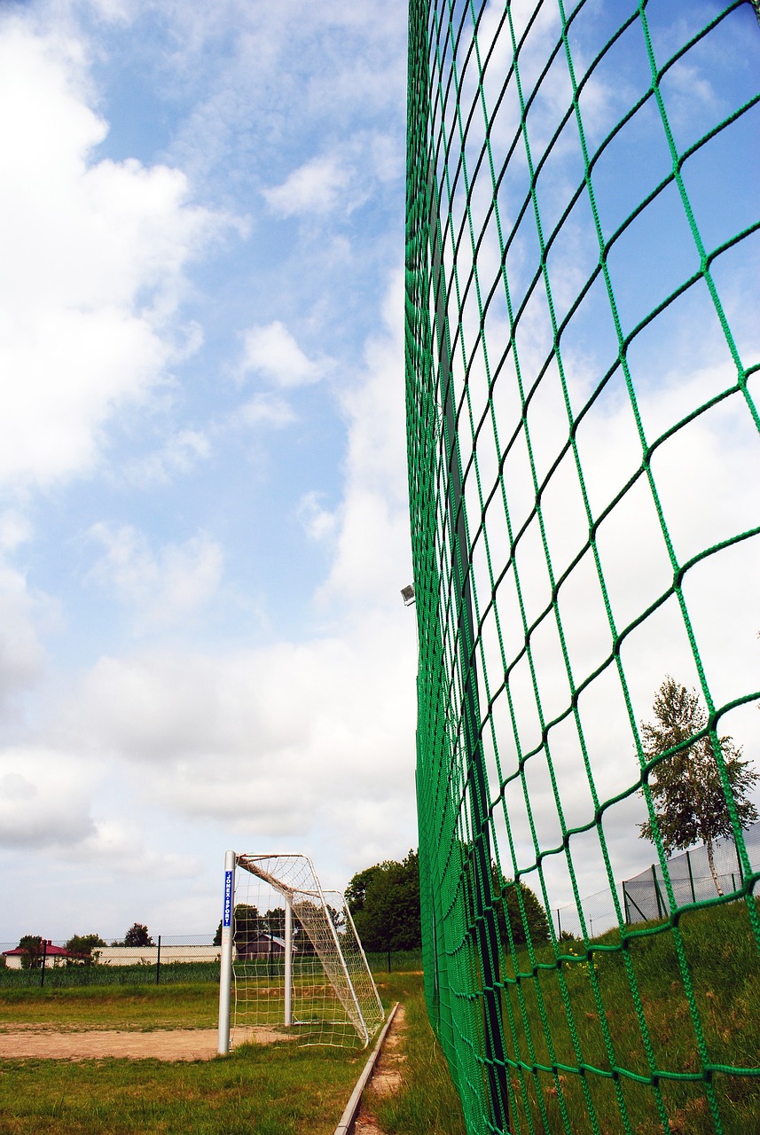 预计国王队 预计国王队