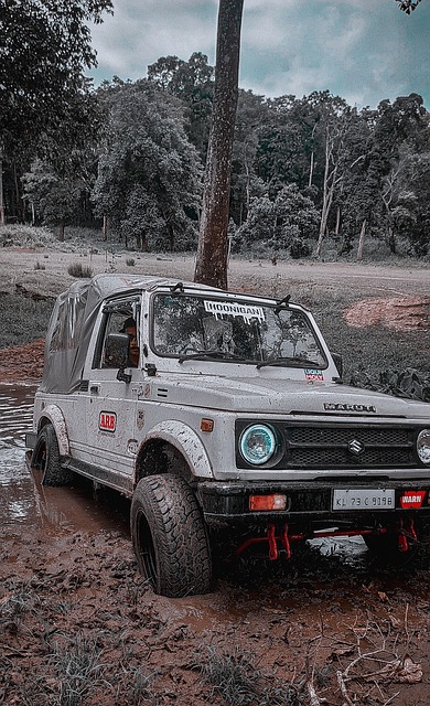 而在现代N 而在现代N