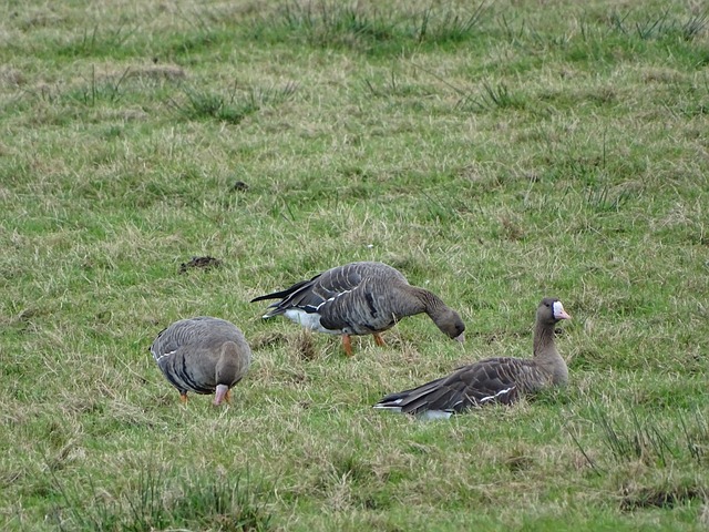 对手压制在 对手压制在