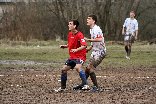 奠定了基础 奠定了基础